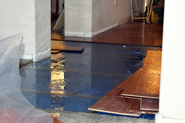 Professional Basement Flood Cleanup technician working in Fayette, OH